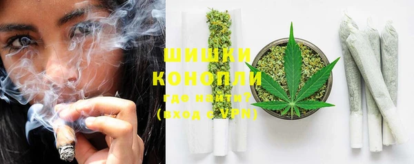 трава Гусиноозёрск