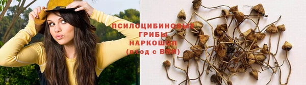 мет Гусь-Хрустальный