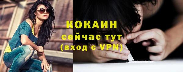 трава Гусиноозёрск