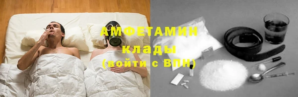 трава Гусиноозёрск