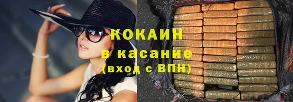трава Гусиноозёрск