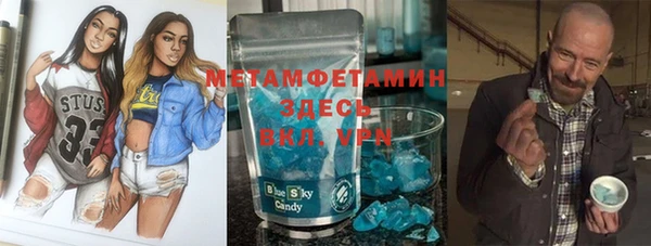 трава Гусиноозёрск