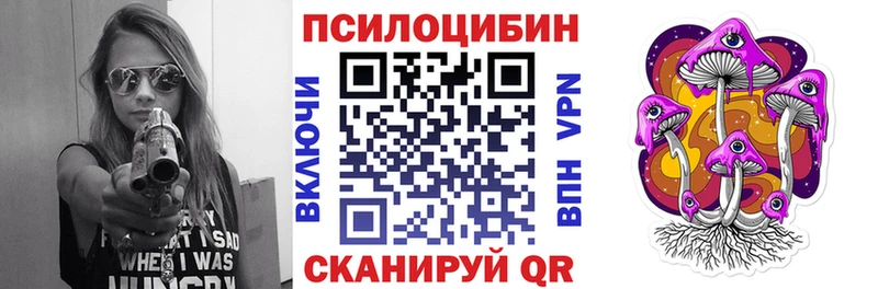 Купить  Кореновск  Псилоцибиновые грибы мицелий 